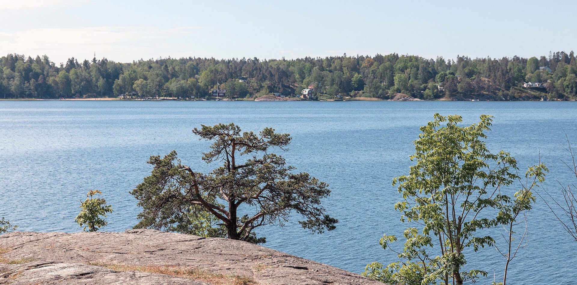 Nyproduktion Västerhaninge - Foto på hav med skog i bakgrunden och träd.