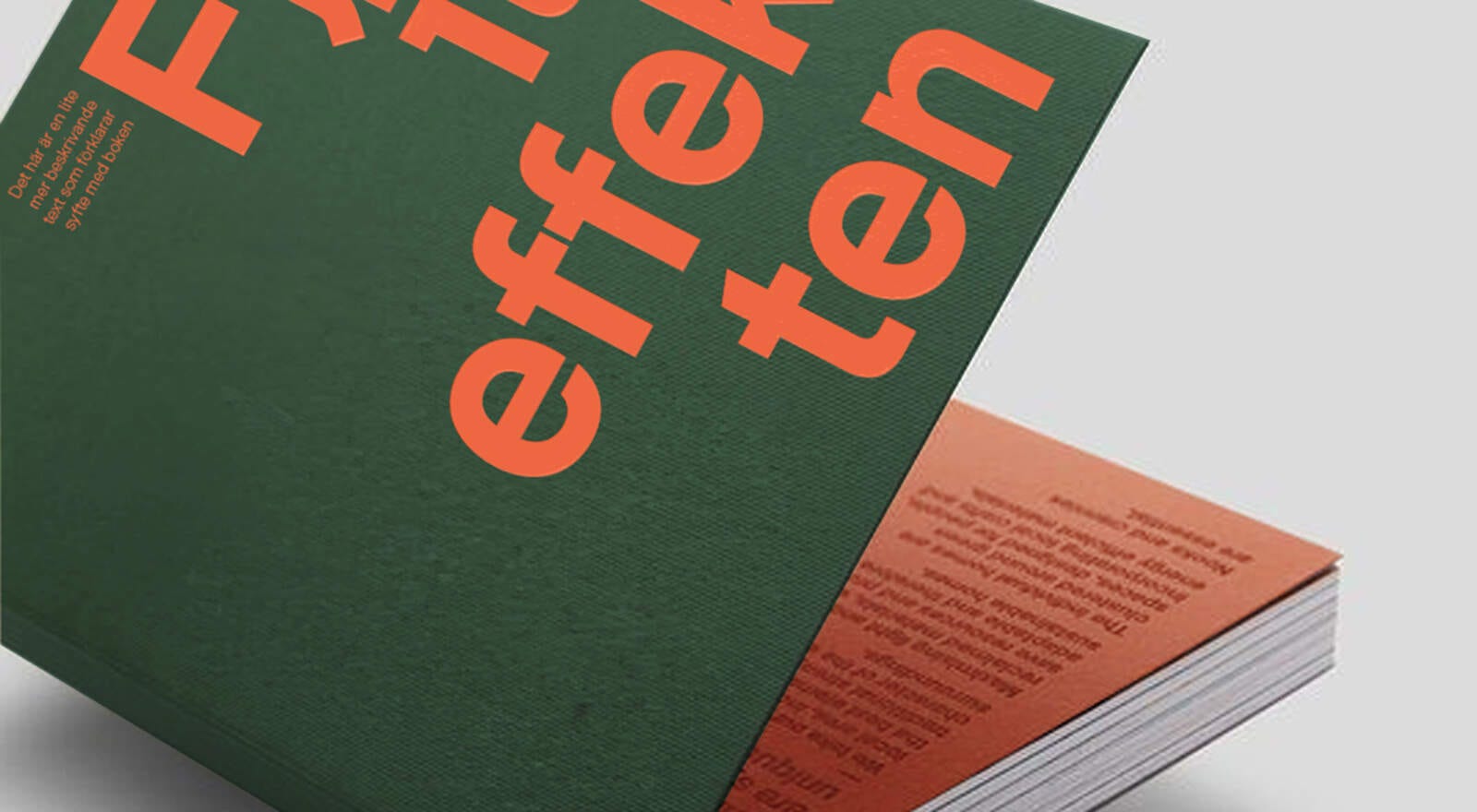 Fjärilseffekten - en bok om hur det lilla blir en viktig del i det större
