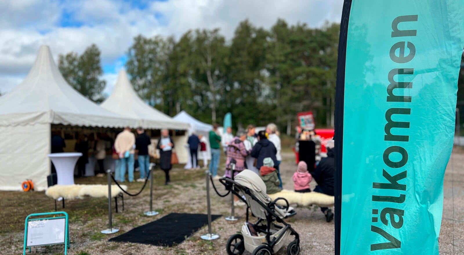 Säljstart av Timmer i Rosendal