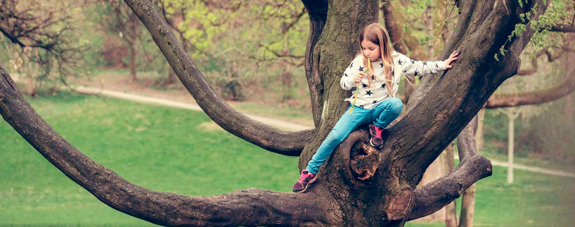 Nyproduktion Partille - Foto på flicka som klättrar i träd